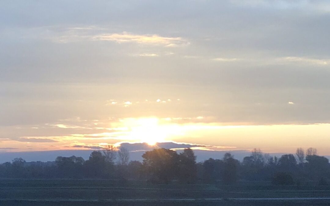 Hilfe, wo sie gebraucht wird