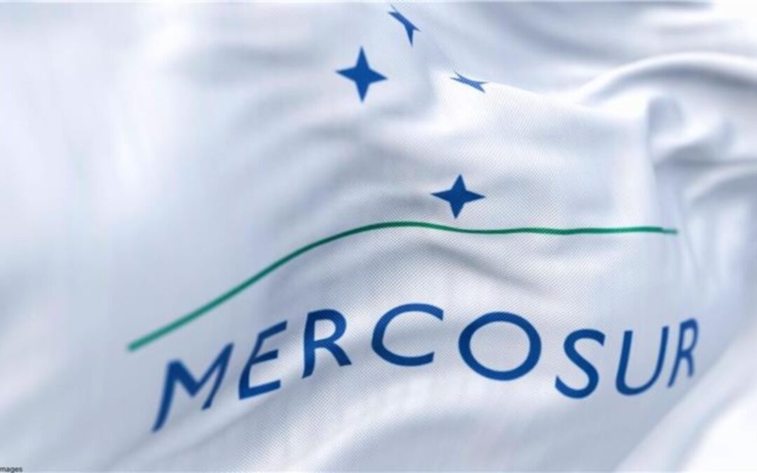 Mercosur: Zukunft sichern statt Wohlstand blockieren