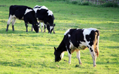 Entlastung und Sicherheit für die Landwirtschaft