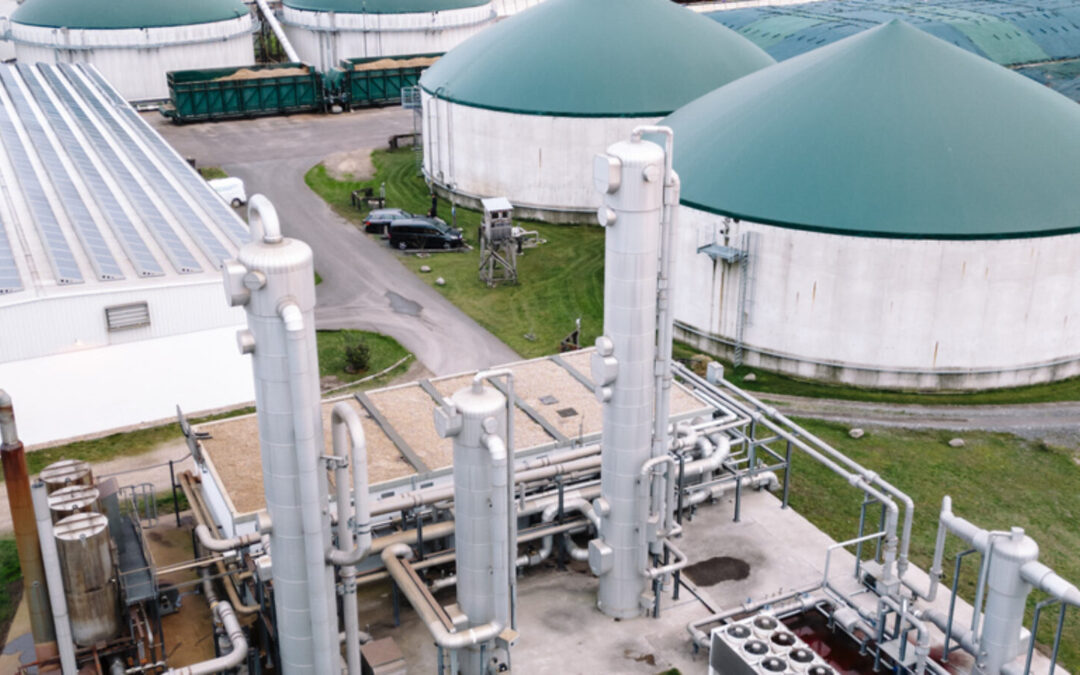 Wärme mit Vernunft: Freiheit und Klimaschutz vereint